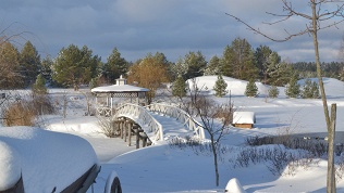 Отдых в загородном клубе «Журавка»