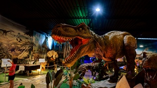 Билет на выставку динозавров «Динозавриум»