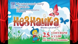 Билет на детский мюзикл