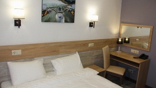 Отель Welcome Inn