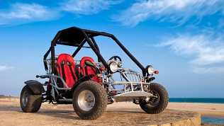 Катание на багги в экстрим-парке «Березовая роща»