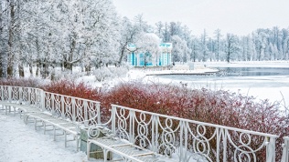 Билет на экскурсию «Необычный Васильевский остров» от «Питер Гид»