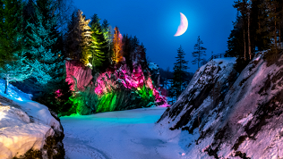 Билет на однодневный тур в Карелию от компании «Туристика»