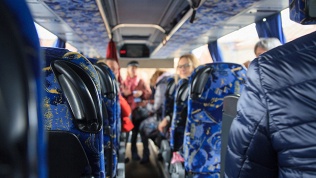 Тур на 1 день «Тайны Шапсугского леса» от туроператора «Не сидим дома»