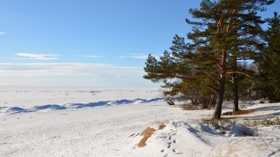 Пансионат «Буревестник»