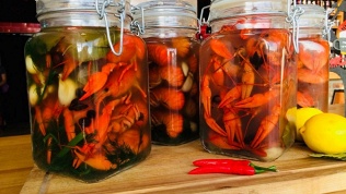 Раковарня Red Rak
