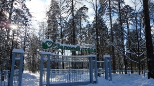 Санаторий «Зелёный город»