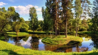 Отдых в санатории
