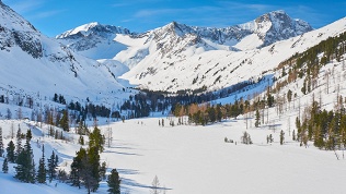 Отдых в Горном Алтае в туркомплексе «Белый марал»