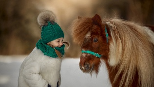 Прогулка верхом или романтическая прогулка от конного клуба «Красный бор»