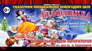 Билет на новогоднее шоу