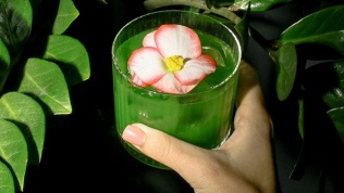 Всё меню и напитки в коктейльном лаунж-баре с террасой Cheers