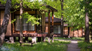 Foresta Festival Park
