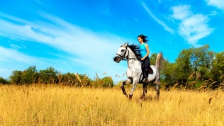 Посещение фермы с катанием на лошадях от конной фермы «Малахит»