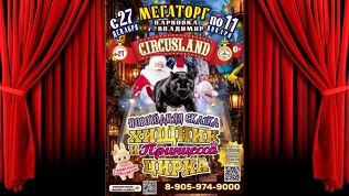 Билет на представление с новогодней сказкой «Хищник и принцесса цирка»