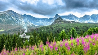 Отдых в отеле Nastup