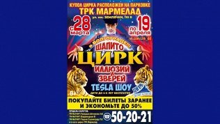 Билеты на цирковое шоу