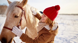Конная прогулка, романтическая прогулка в карете в конном клубе «Вестерн»