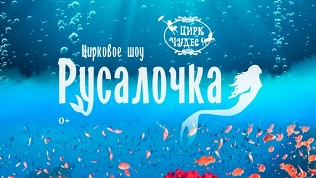 Билет на цирковое шоу