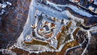 Билет на экскурсию в Петергоф и Кронштадт от агентства «Виктория»