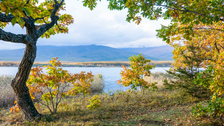 Тур «Яркая винодельня Сухая Гора. Ландшафтный парк» от «Не сидим дома»