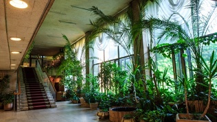 Отдых с питанием и развлечениями в пансионате «Звенигородский»