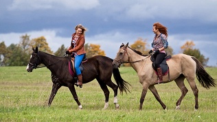 Прогулка на лошади или пони от конного двора «Лощинино»