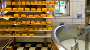 Экскурсия «Замок Шаакен и сыроварня Шаакендорф» от «Янтарный Кенигсберг»