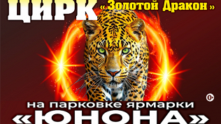 «Шоу персидских леопардов» в цирке-шапито «Золотой дракон»