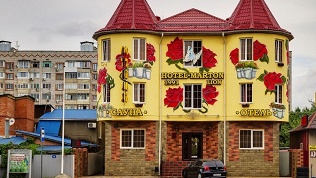 Отель Marton Lion