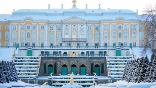Тур «Новогодняя прогулка по Петербургу и Петергофу» от «Невские сезоны»