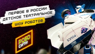 Билет на детское шоу