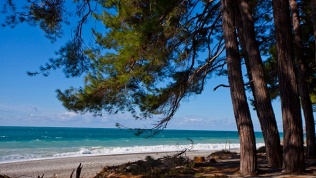 Отдых в Адлере в гостевом доме «Медовый»