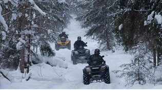 Прогулка на квадроциклах, мотоциклах и багги от компании «Мегапрокат»