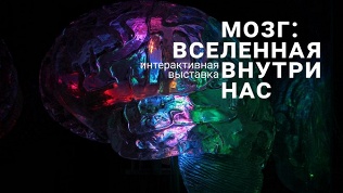 Интерактивная выставка