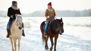 Катание, конные прогулки, обучение верховой езде от конного двора «Мечта»