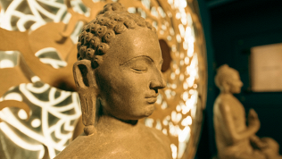 Посещение музея йоги Sanskar