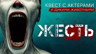 Участие в квесте-перформансе «Жесть» от студии DarimQuest
