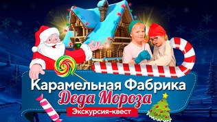 Билет на новогоднюю программу от «Карамельной фабрики Деда Мороза»