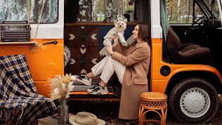 Прогулочная, свадебная, семейная фотосессия от фотографа Гавриковой Лилии