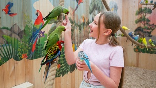 Билет на посещение пространства с ручными попугаями «Попугайня»