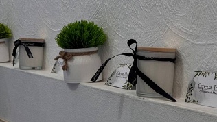 SPA-программа в студии массажа и коррекции фигуры «Сфера тела»