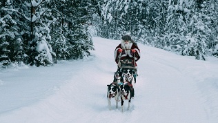 Тур «Новогодняя Карелия за 1 день» от туроператора Charm Travel