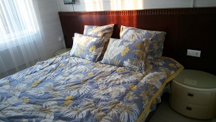 Аренда коттеджа с посещением сауны и купели от компании «Метелица»