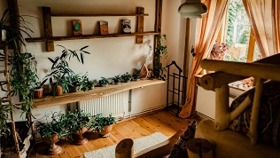 Отдых с дегустацией сыров в гостевом доме «Башкирская коза»