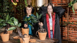 Билет на выставку «Мир Гарри Поттера» за полцены