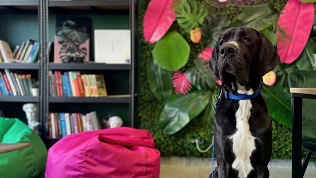 Сертификат номиналом от 700 до 1500 руб. от сети кофеен «Карамель»