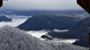 Тур «Рождество в Свято-Михайловском Афонском монастыре (мужской)»
