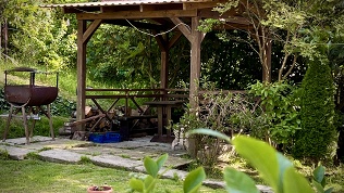 Отдых в Сочи в гостевом доме «Лоорис»