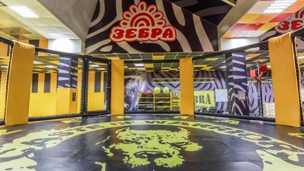 

Посещение тренировок в бойцовском клубе Zebra & Caste of Warriors
